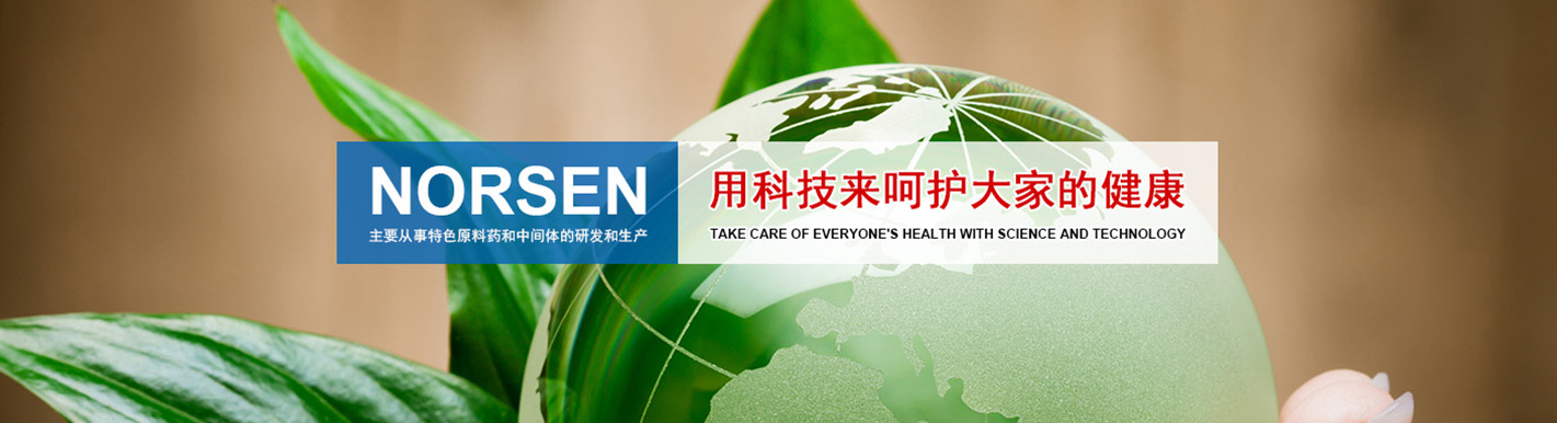連云港諾森醫藥科技有限公司