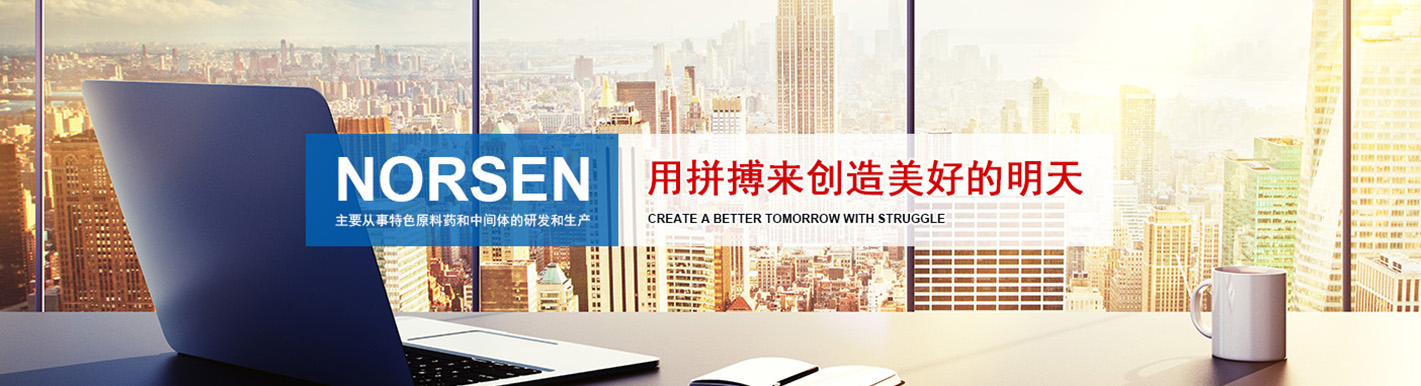 連云港諾森醫藥科技有限公司